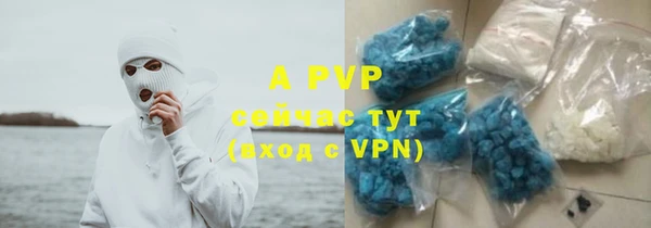 apvp Бородино